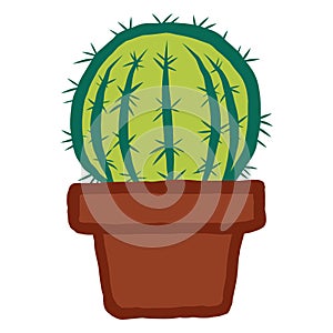 Barrel Cactus Doodle Drawing Vector Design Illustration Template Icon Art photo