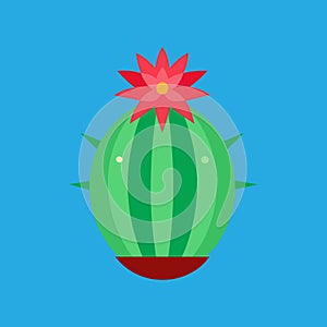 Barrel Cactus Flower vector art illustration photo