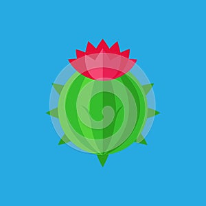 Barrel Cactus Flower vector art illustration photo