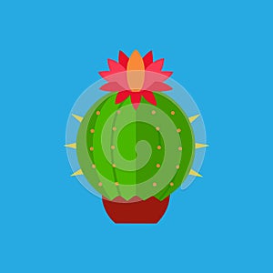 Barrel Cactus Flower vector art illustration photo