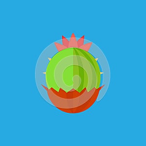 Barrel Cactus Flower vector art illustration photo