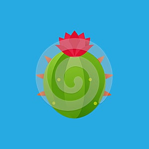 Barrel Cactus Flower vector art illustration photo