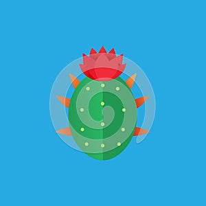 Barrel Cactus Flower vector art illustration photo
