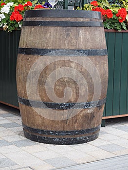 barrel cask for wine