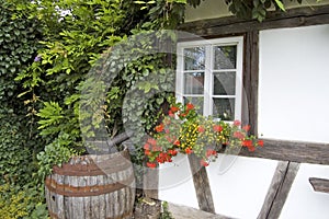 Barrel And Flowers