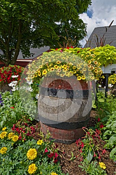 Barrel of Flowers