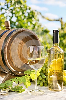 Barrel, glass and bottle of white wine on table in vineyard