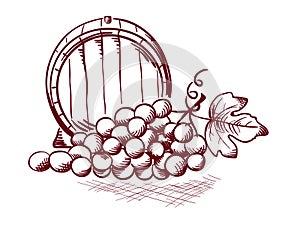 Barrel and grapes