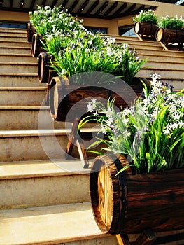 Barrel planters on steps photo