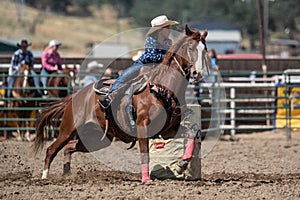 Barrel Racer