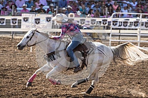 Barrel Racer Sprint