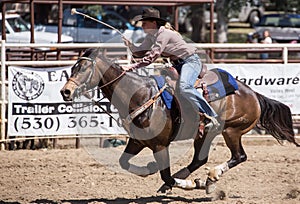 Barrel Racer Sprints to the Finish