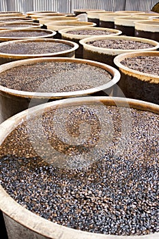 Barrel of soy bean