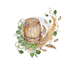 Barrel with splashes of beer, hops and ears of wheat watercolor