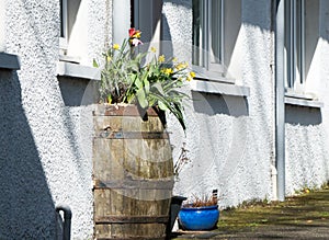 Barrel in the wall