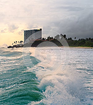 A barreling wave crashes and creates a leading line into beautiful scenic sunset and tall buildings on the coast. Silhouetted palm