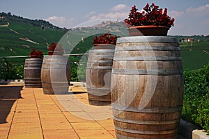 Barrels photo