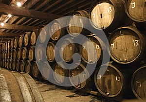 Barrels in brewery photo