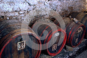 Barrels in cellar