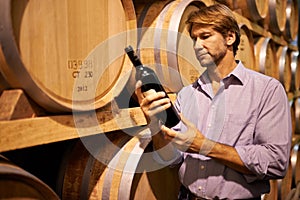 Barrels, cellar and man with bottle of wine for reading label in winery, warehouse or distillery. Agriculture, industry