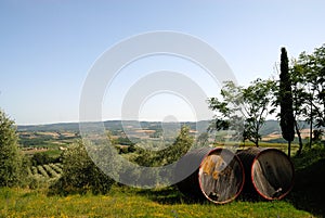 Barrels for Chianti wine