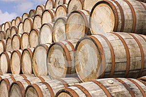Barrels in the distillery photo