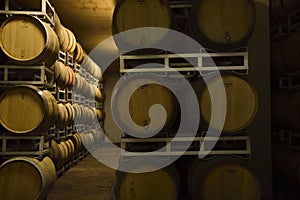 Barrels of Italian wine, merlot and sangiovese, in the cellar