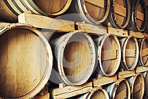 Barrels stacked in a wine cellar