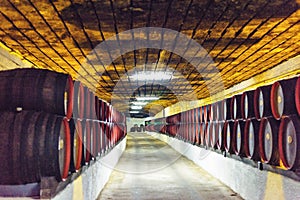 Barrels storage inside wine cellars photo