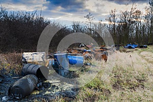 Barrels of toxic waste in nature