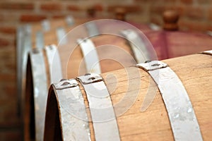 Barrels in wine cellar