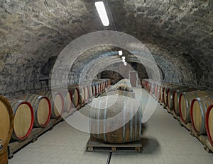 Barrels in wine cellar