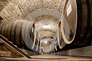 Barrels In A Wine-cellar.