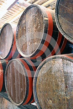 Barrels in a wine cellar