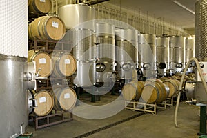 Barrels Of Wine In Cellar