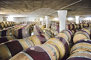 Barrels in Wine Cellar, South Africa