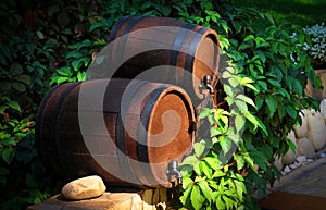 Barrels of wine in the green grass photo