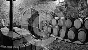Barrels of wine in a wine cella