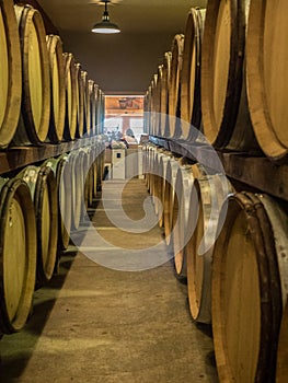 Barrels of wine in winery cellar