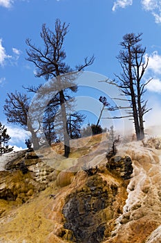 Barren Cliffs of Mammoth Hot Springs