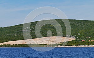 A barren Croatian olive tree orchard