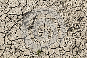 Barren Desolate Dry Cracked Soil Surface