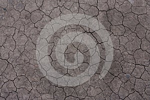 Barren and dry ground with cracks