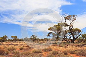 Barren, dry and rugged landscape Murray-Sunset National Park, Victoria Australia