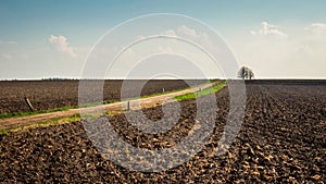 Barren Dutch landscape near Den Ham Twente, Overijssel in April