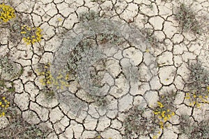 Dry cracked earth background. Cracked mud pattern. Soil In crack