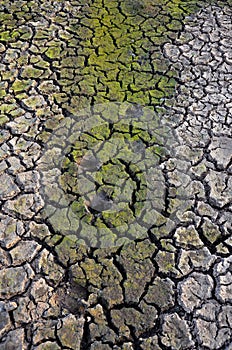 Barren earth. Dry cracked earth background. Cracked mud pattern. Soil In cracks.Creviced texture.Drought land. Environment drought