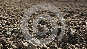 Barren field during drought