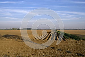 Barren field with tree shadow