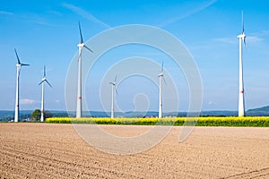 Barren field and windwheels